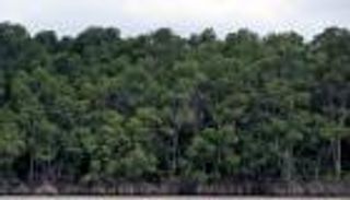 أرقام مرعبة في COP30.. أكثر من 3 تريليونات دولار خسائر زراعية بسبب المناخ