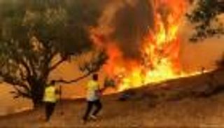 إجلاء عشرات العائلات بسبب حرائق غابات في الجزائر