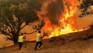 حرائق غابات في الجزائر