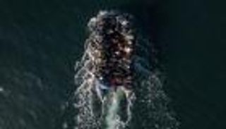 بريطانيا تعلن نهاية «التذكرة الذهبية».. 20 عاما للإقامة الدائمة