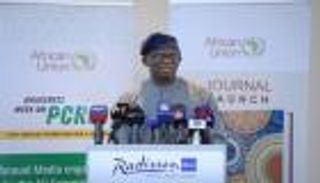 الاتحاد الأفريقي يطلق رؤية شاملة لمكافحة الإرهاب وترسيخ السلام