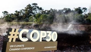 تخزين الكربون