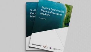إصدارات الديون المستدامة في الأسواق الناشئة