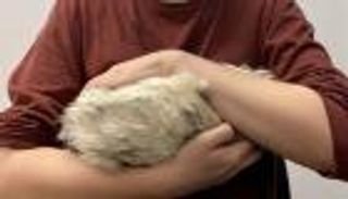 اكتشاف مذهل.. احتضان روبوت خائف يزيد خوفك