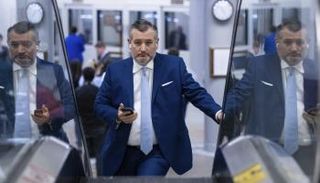 السيناتور تيد كروز 