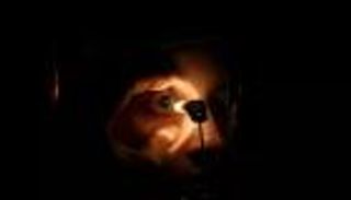 للمرة الأولى.. زراعة قرنية منتجة بالطباعة ثلاثية الأبعاد في إنسان