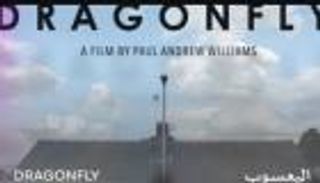 مهرجان القاهرة السينمائي.. فيلم «اليعسوب» يفوز بجائزة «الهرم الذهبى»