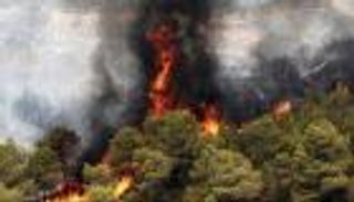 إيران تكافح حريقا في غابات «عمرها 50 مليون سنة»