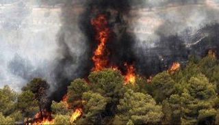 حرائق غابات إيران