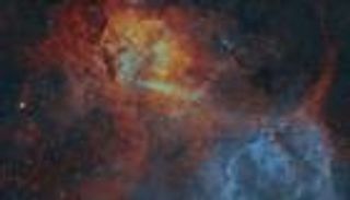 سديم &laquo;الأسد الهائج&raquo; يزأر وينبض بالحياة في صورة فلكية مذهلة