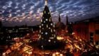 ألمانيا تحتفل بإضاءة أكبر شجرة عيد ميلاد في العالم