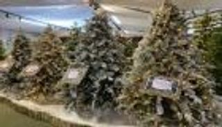 هدايا الكريسماس في مصر.. هل ترتفع أسعارها هذا العام؟