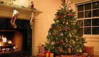 شجرة عيد الميلاد تقدم فوائد صحية 