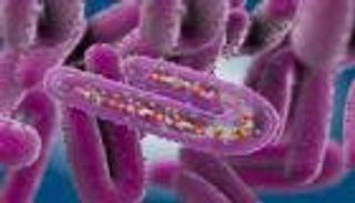 ما هو فيروس ماربورغ المنتشر في أفريقيا؟.. دليل شامل للصحة العامة