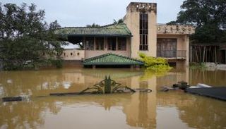 الإعصار ديتواه