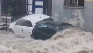 سيول في تونس