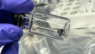 العلماء عثروا على لبنات الحياة الأولى داخل صخور "بينو" 