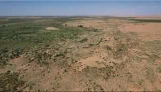 أحد مشروعات التشجير في الصين