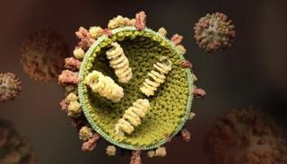 فيروسات - تعبيرية