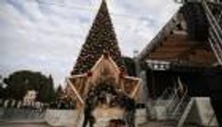 لأول مرة منذ عامين.. إضاءة شجرة الميلاد بكنيسة المهد في بيت لحم