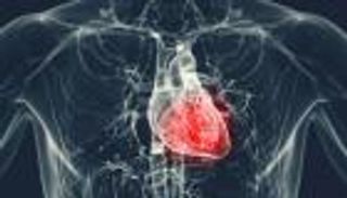 حقيقة التهاب عضلة القلب بعد لقاحات كورونا.. جامعة ستانفورد توضح