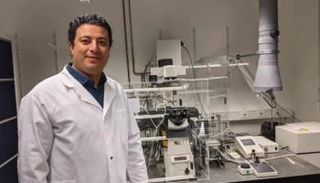 د.هيثم شعبان