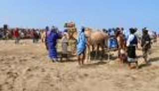 الألعاب التهامية في اليمن.. رياضة وإرث تاريخي زاخر