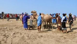 الألعاب التهامية في اليمن