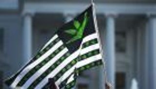 ترامب يستعد لتوقيع أمر تنفيذي لإعادة تصنيف الماريغوانا 