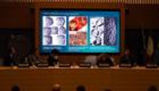 اكتشاف آثار أقدام ديناصورات بجبال الألب في إيطاليا