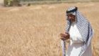 الاكتفاء الذاتي من القمح.. حلم العراق يتبخر بفعل أزمة المياه