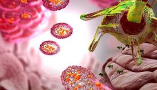 رسم تخيلي لآلية العلاج المعتمدة على الخلايا المتغصنة 