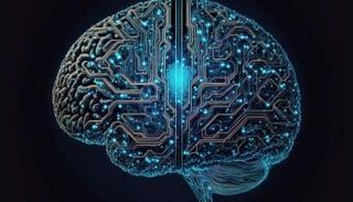  اكتشاف آلية تنسيق الدماغ بين الإشارات السريعة والبطيئة عبر  المسارات العصبية