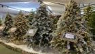 &laquo;لا يحبون الفرحة&raquo;.. أبراج لا تنسجم مع احتفالات رأس السنة 2026