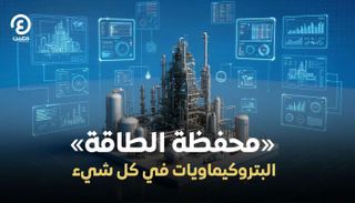 «محفظة الطاقة».. البتروكيماويات في كل شيء