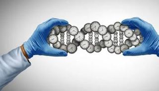 أداة جديدة لقياس العمر البيولوجي للجسم اعتمادا على تحليل البول