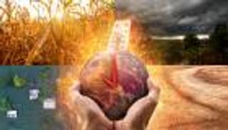 حصاد البيئة في 2025.. كوكب يختبر حدود الاحتمال