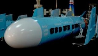 صاروخ ضبطته المقاومة الوطنية في الساحل الغربي