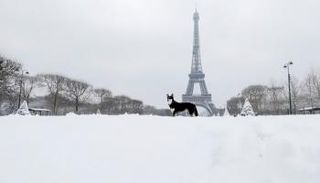 الثلوج تعرقل حركة القطارات السريعة في باريس