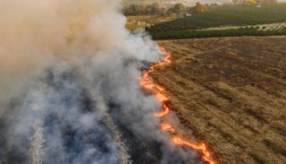 مصدر الصورة كانفا.