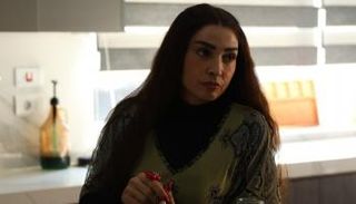 الفنانة روجينا