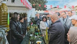 مهرجان زيت الزيتون في تبرسق
