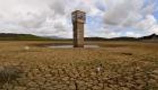 لمواجهة التغيرات المناخية..خبراء تونسيون يدعون إلى تحقيق الأمن الغذائي (خاص)