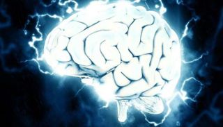 تطور الدماغ، وخصوصاً شبكاته الوظيفية، لا يتوقف عند سن 25.