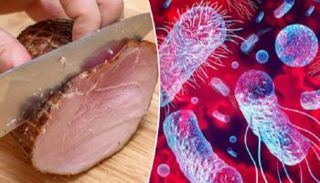 تطوير رذاذ مبتكر لمواجهة التلوث البكتيري في اللحوم.