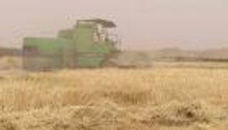 ممنوع دخول المسافرين بـ&laquo;نباتات&raquo; إلى تونس