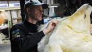 حصيلة عملية «الرعد».. 20 ألف حيوان و6 شبكات إجرامية