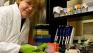 السالمونيلا المقاومة للأدوية.. خطوة أمريكية نحو إنتاج اللقاح