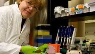 أحد أعضاء الفريق البحثي بمشروع انتاج لقاح السالمونيلا