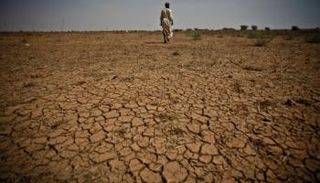 التغير المناخي يطال الاقتصاد في كافة مفاصله